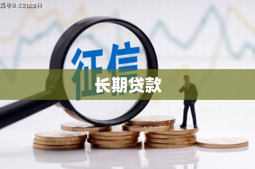 望德堂区长期贷款