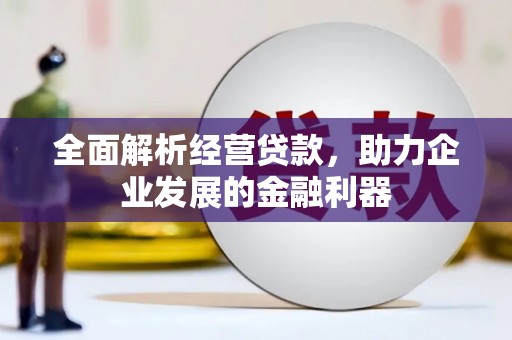 望德堂区全面解析经营贷款，助力企业发展的金融利器