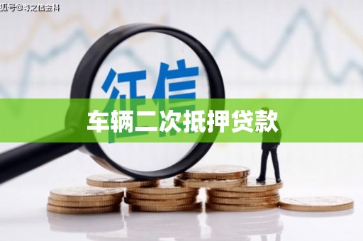 望德堂区车辆二次抵押贷款