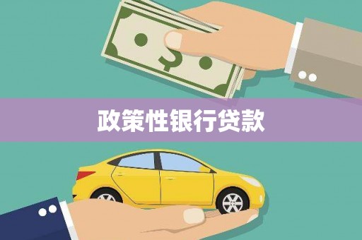 望德堂区政策性银行贷款