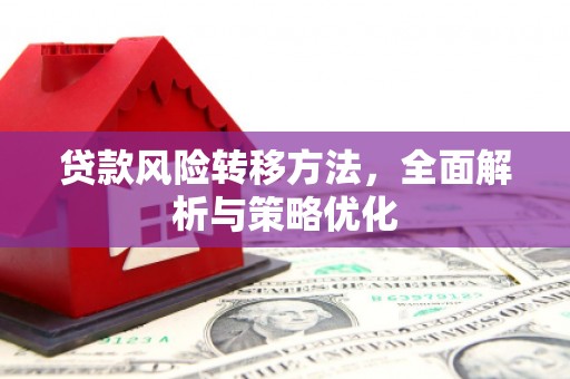 望德堂区贷款风险转移方法，全面解析与策略优化