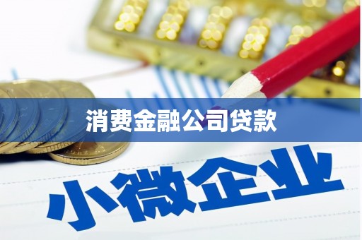 望德堂区消费金融公司贷款