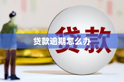 望德堂区贷款逾期怎么办