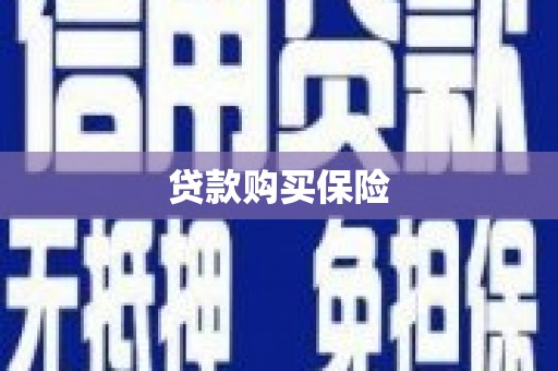 望德堂区贷款购买保险