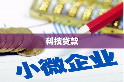 望德堂区科技贷款