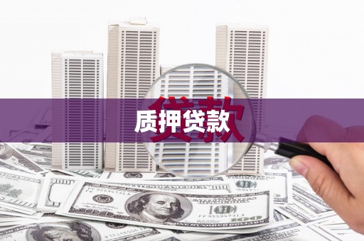望德堂区质押贷款