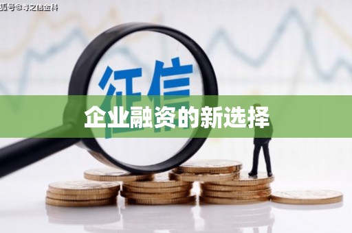 望德堂区企业融资的新选择