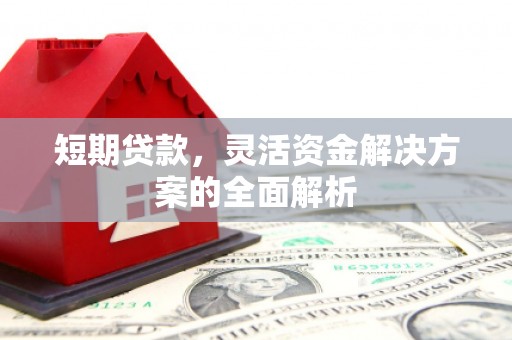 望德堂区短期贷款，灵活资金解决方案的全面解析