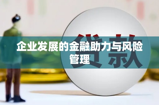 望德堂区企业发展的金融助力与风险管理