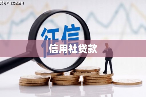 望德堂区信用社贷款