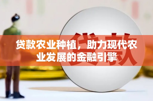 望德堂区贷款农业种植，助力现代农业发展的金融引擎