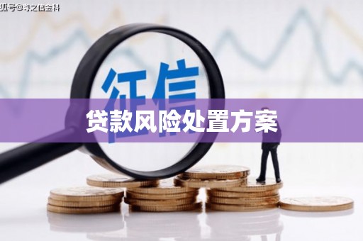 望德堂区贷款风险处置方案