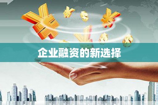 望德堂区企业融资的新选择