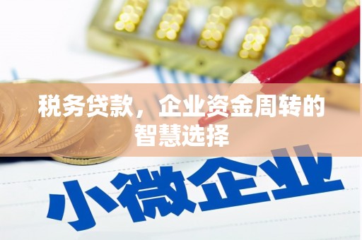 望德堂区税务贷款，企业资金周转的智慧选择