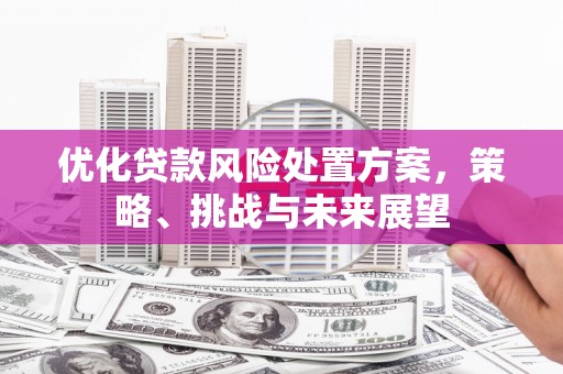 望德堂区优化贷款风险处置方案，策略、挑战与未来展望