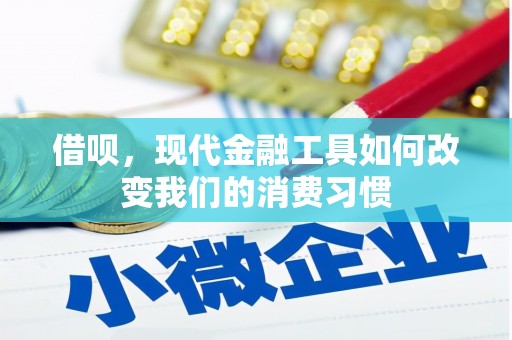 望德堂区借呗，现代金融工具如何改变我们的消费习惯