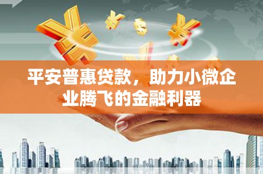 望德堂区平安普惠贷款，助力小微企业腾飞的金融利器