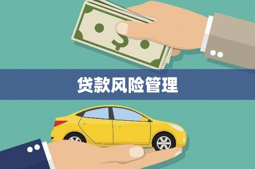 望德堂区贷款风险管理