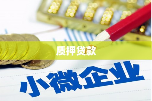 望德堂区质押贷款