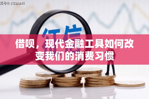 望德堂区借呗，现代金融工具如何改变我们的消费习惯