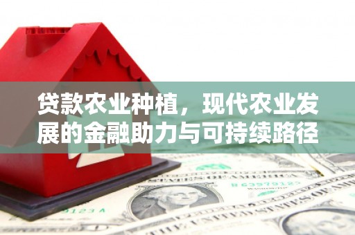 望德堂区贷款农业种植，现代农业发展的金融助力与可持续路径