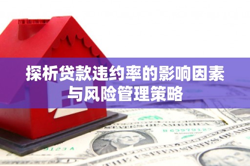 望德堂区探析贷款违约率的影响因素与风险管理策略