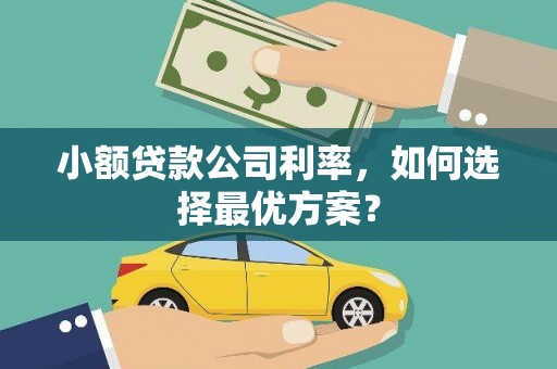 望德堂区小额贷款公司利率，如何选择最优方案？