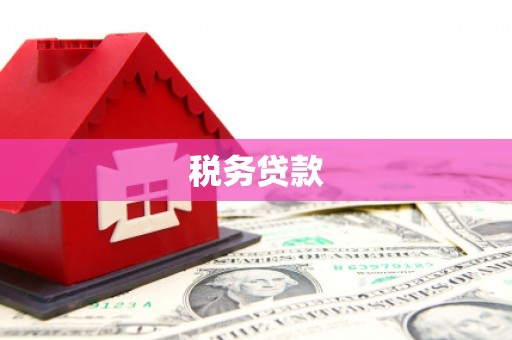 望德堂区税务贷款