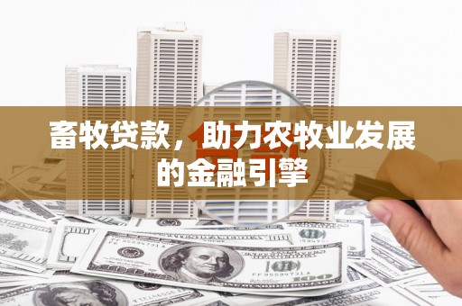 望德堂区畜牧贷款，助力农牧业发展的金融引擎