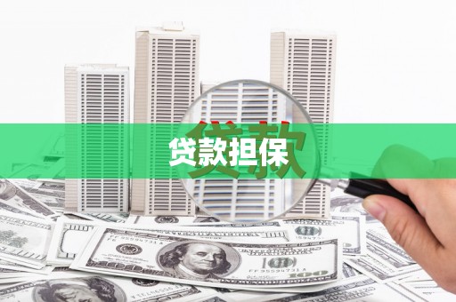 望德堂区贷款担保