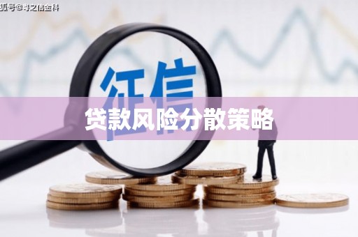 望德堂区贷款风险分散策略