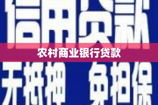 望德堂区农村商业银行贷款