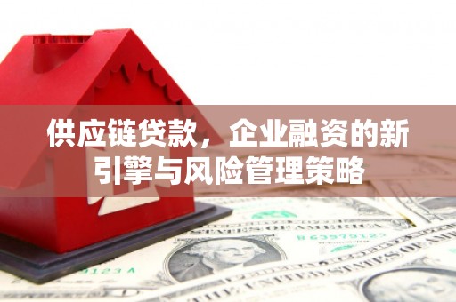 望德堂区供应链贷款，企业融资的新引擎与风险管理策略