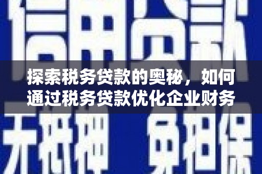 望德堂区探索税务贷款的奥秘，如何通过税务贷款优化企业财务