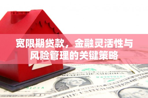 望德堂区宽限期贷款，金融灵活性与风险管理的关键策略