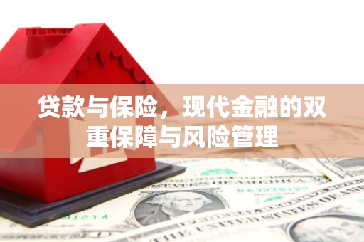 望德堂区贷款与保险，现代金融的双重保障与风险管理