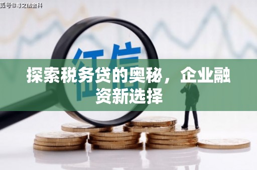 望德堂区探索税务贷的奥秘，企业融资新选择