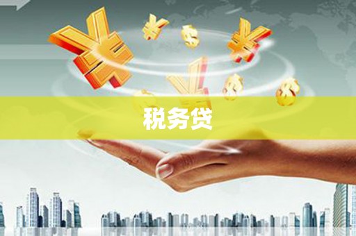 望德堂区税务贷