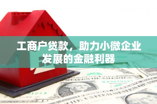 望德堂区工商户贷款，助力小微企业发展的金融利器
