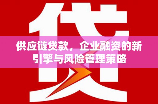 望德堂区供应链贷款，企业融资的新引擎与风险管理策略