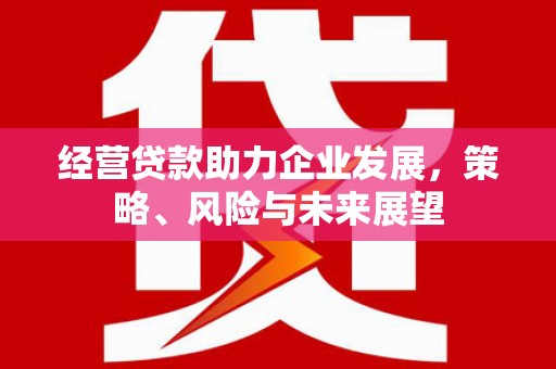 望德堂区经营贷款助力企业发展，策略、风险与未来展望