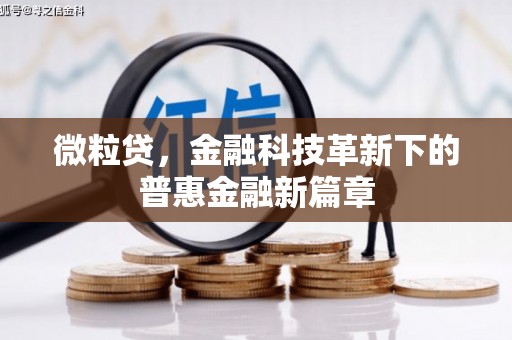 望德堂区微粒贷，金融科技革新下的普惠金融新篇章
