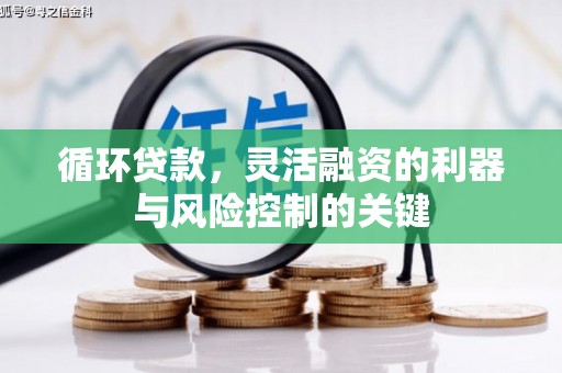 望德堂区循环贷款，灵活融资的利器与风险控制的关键