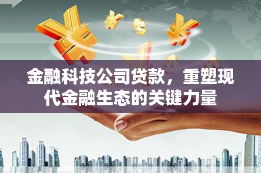 望德堂区金融科技公司贷款，重塑现代金融生态的关键力量