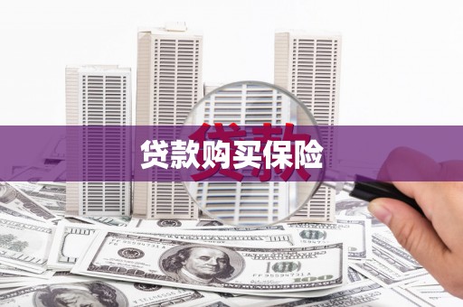 望德堂区贷款购买保险