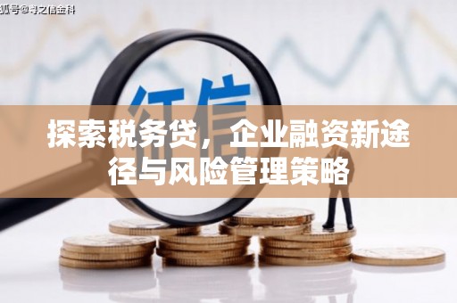 望德堂区探索税务贷，企业融资新途径与风险管理策略