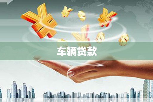 望德堂区车辆贷款