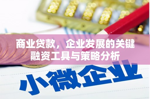 望德堂区商业贷款，企业发展的关键融资工具与策略分析