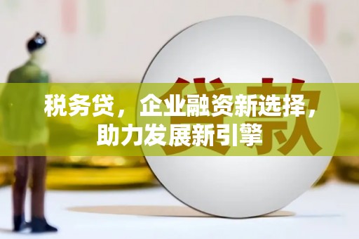 望德堂区税务贷，企业融资新选择，助力发展新引擎