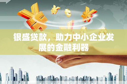 望德堂区银盛贷款，助力中小企业发展的金融利器